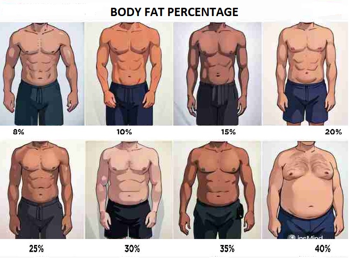 The Body Fat Percentage Calculator helps in measuring what percentage of body is actually made up of fat, giving a clearer picture of overall health.